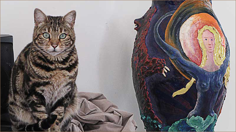 Princeska my bengal cat in studio