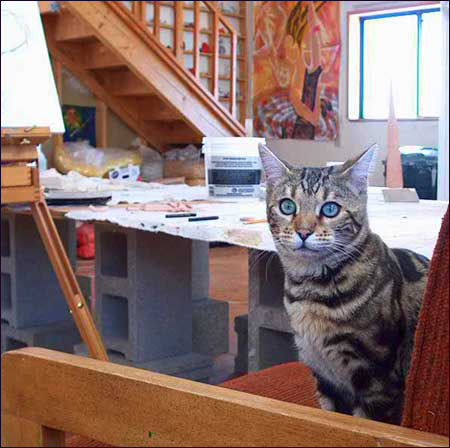 princeska helping as i work instudio